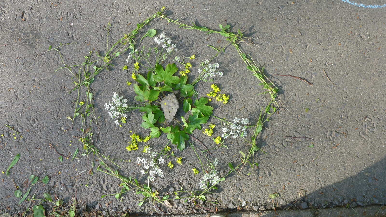 Mandalas der StadtteilEntdecker, 22.05.2019