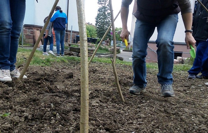 WP_20160518_17_57_23_Pro