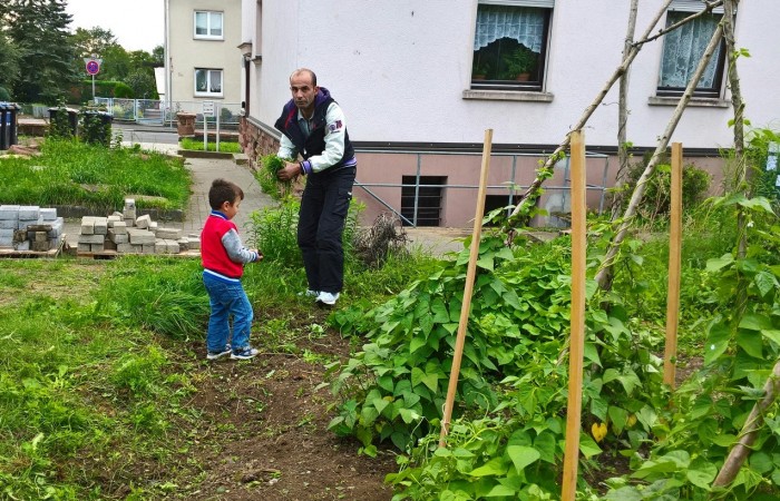 WP_20160810_18_45_09_Pro