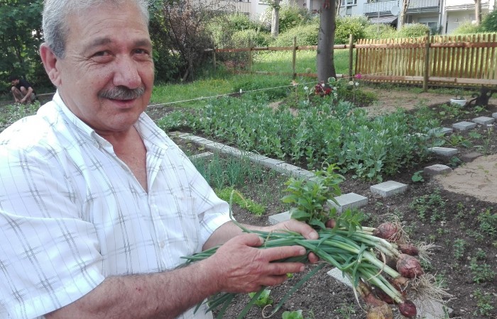 Im Innenhof Dientzenhoferstr.