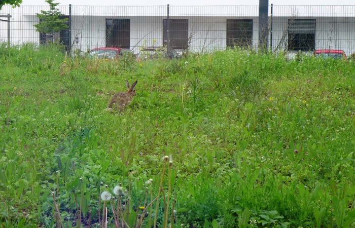 Täglicher Gast beim Bürgerzentrum